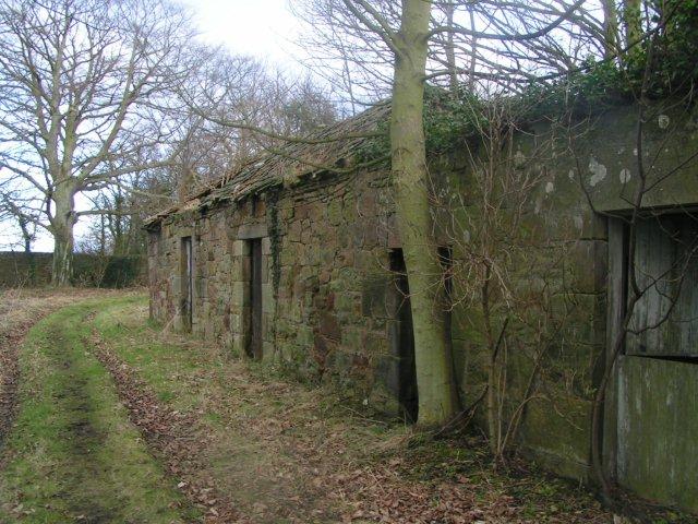 Pitmilly Ruins