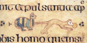 Cat in the Book of Kells