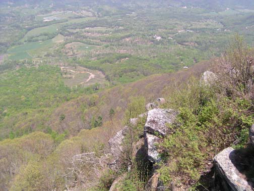North West View
