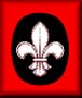 Scout Photo Icon