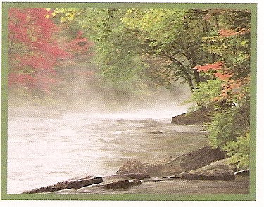 peaceful stream